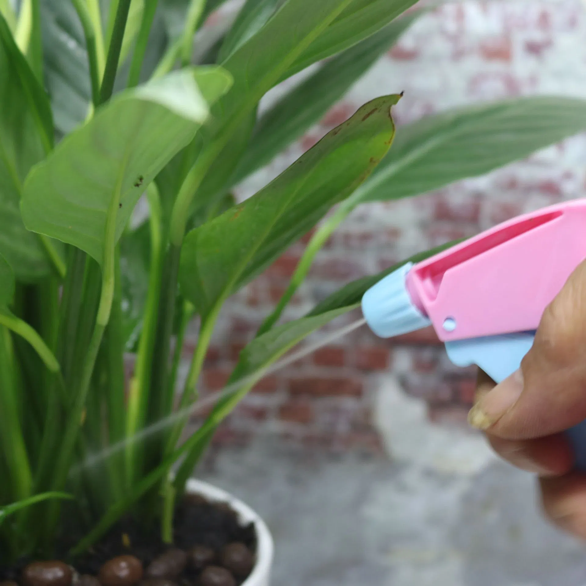 Multiple Colors Custom Painting Transparent plastic Bootle for Disinfectant