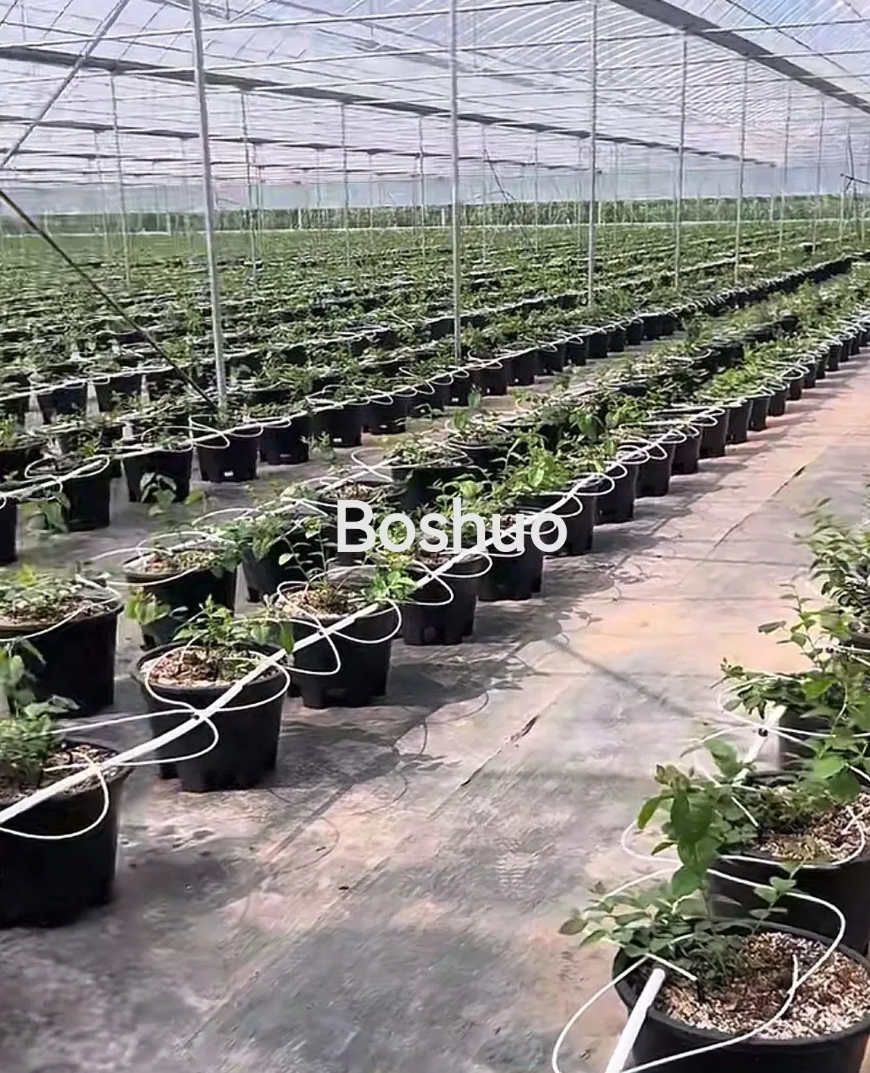 Горшок для растений 25-40 л, круглый, черный