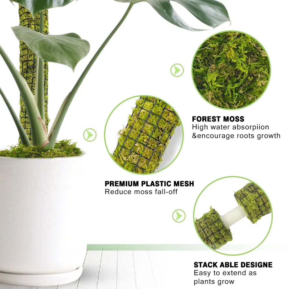 Aerial Root-Friendly Breathable Green Moss Plant Support Pole Moss Pole for Pothos Climbing Growth Philodendron Care