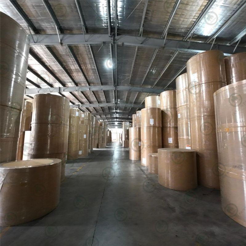 Mother Jumbo Roll for Making Toilet Paper Napkin Facial Tissue From Manufacturer at Competitive Price