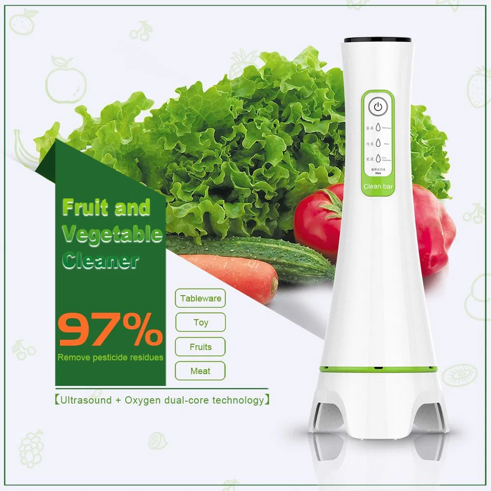 Home Use Portable Anti-Virus Vegetable Ozone Washing Machine