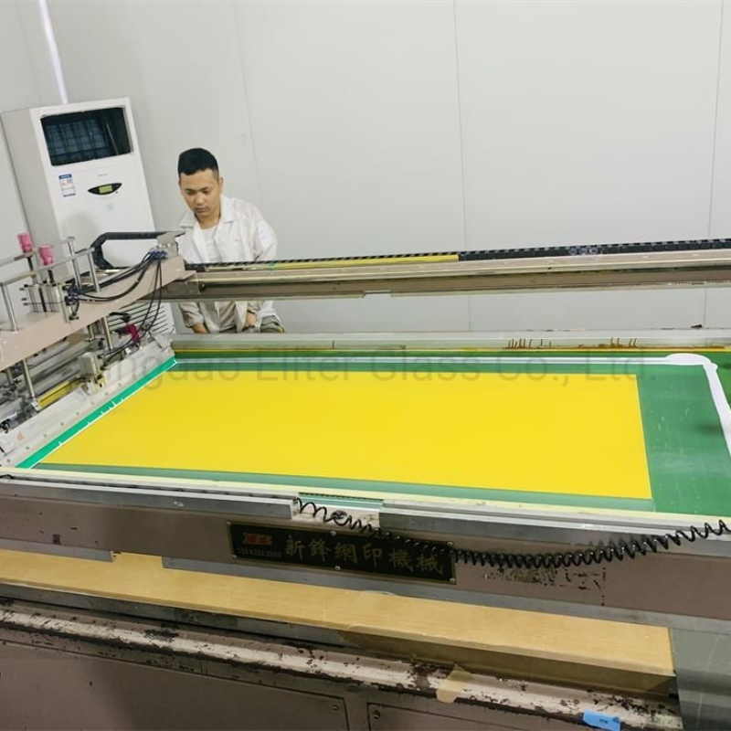 China Manufacture 6mm 10mm Screen Print Glass/ Digital Printing Glass/ Tempered Glass/ Laminated Glass/ Building Glass