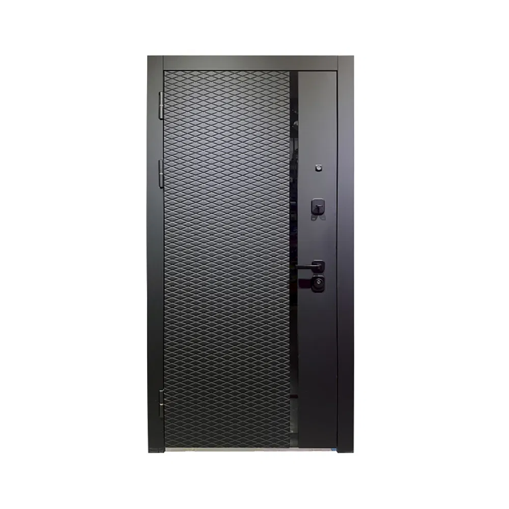 Modern Exterior Main Gate Door