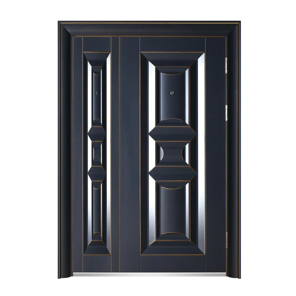 Stylish Steel Security Door Designed for Maximum Safety