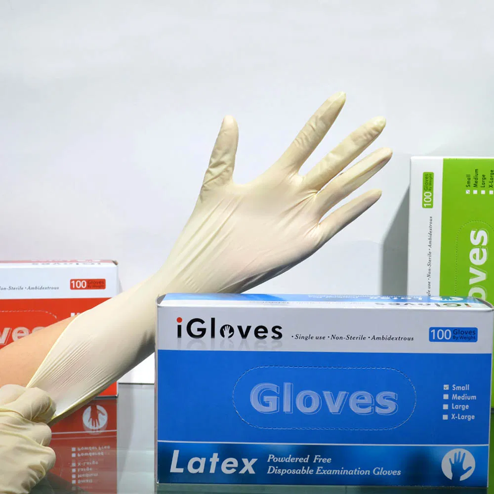 Malaysia Natural Rubber Disposable Examination Latex Gloves Free Samples