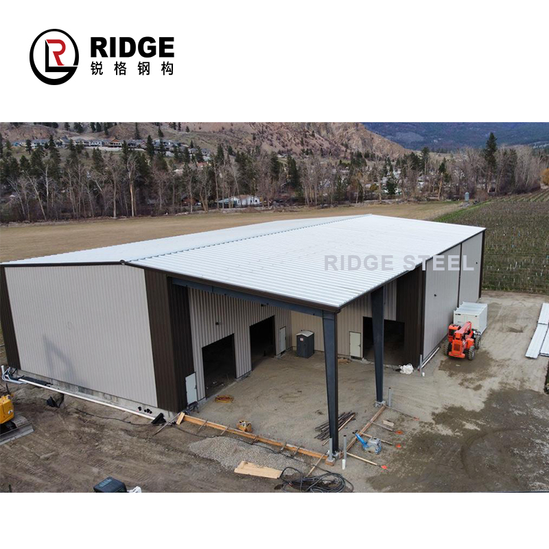 Free Design Prefabricated Plant Workshop with Office House Steel Structure