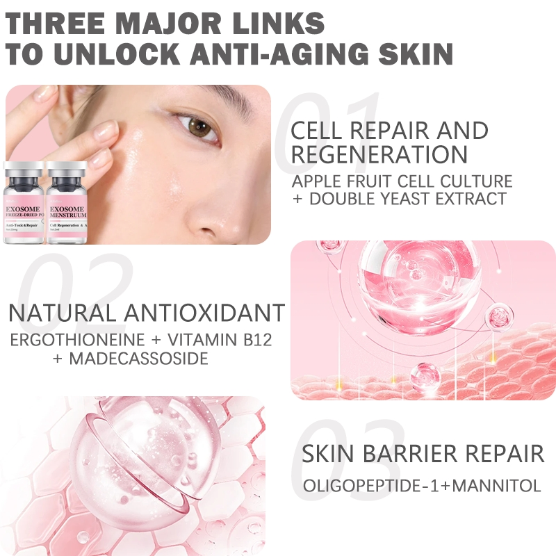 SPA Microneedle Freeze-Dried Powder Vegan Plant-Derived Exosome Anti-Aging Exosome Stem Cell EGF Revitalizing Micro Infusion Serum