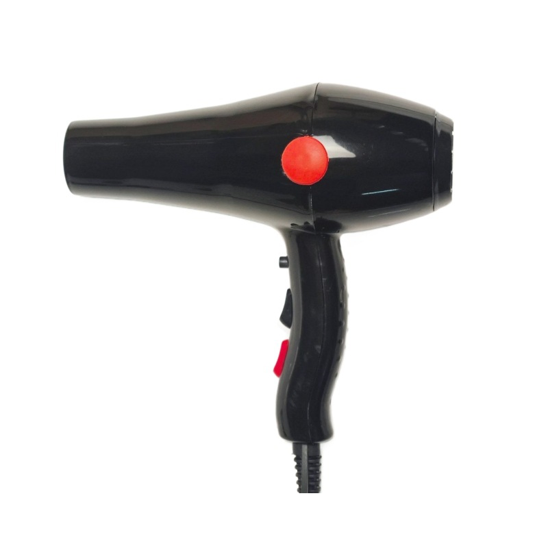 India Hairdryer Professional Salon Hotel Home Use Blow Dryer