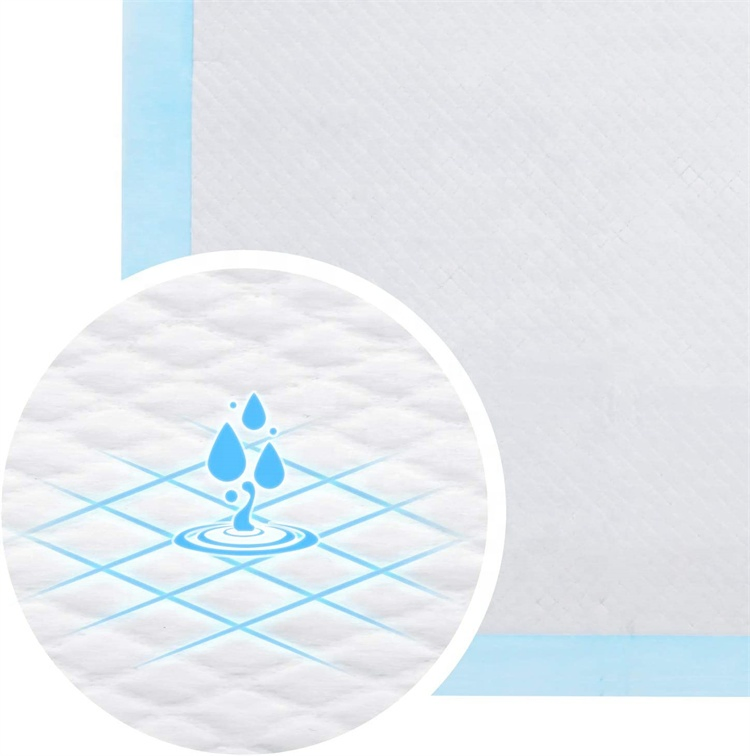 Best Sellers 2024 Pet PEE Pads Training Pad Disposable