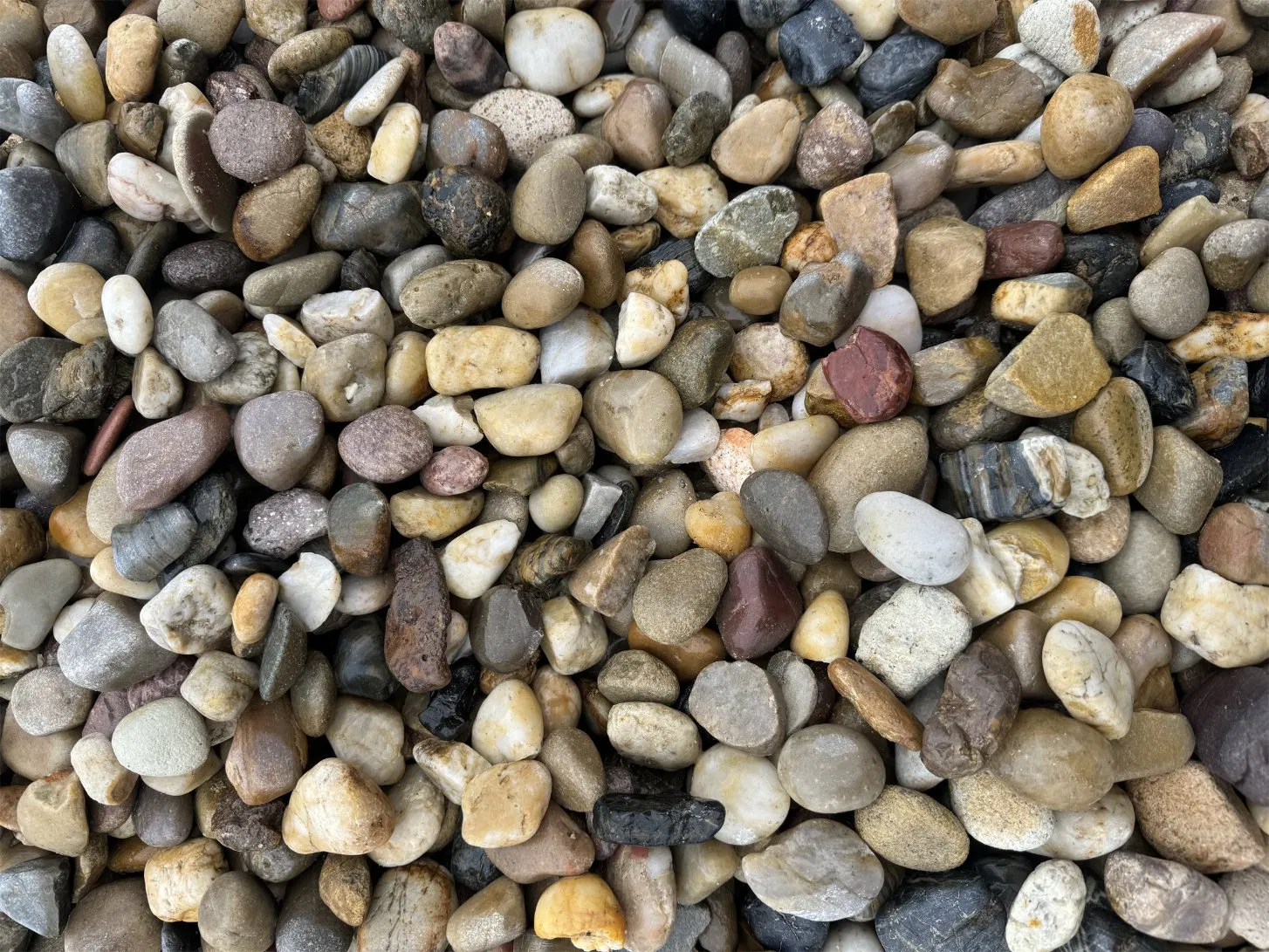 Natural Brown Red Black Grey White Pebble Stone Mixed Color for Decoration