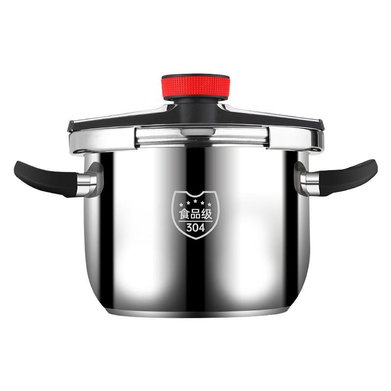 Premium 6 Litre Induction Cooker with 304 Stainless Steel Design
