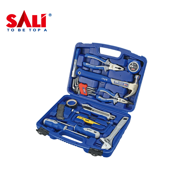 Набор ручных инструментов Sali Professional 10 предметов