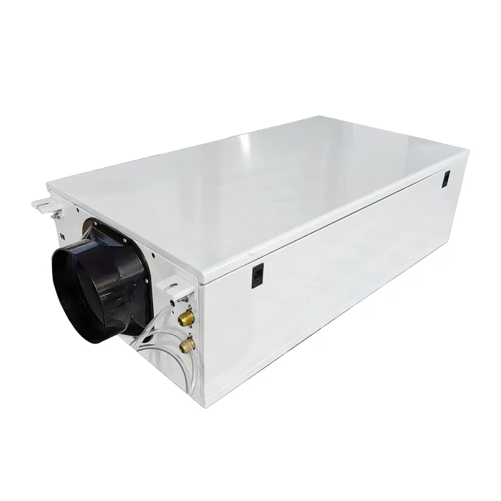 China Supplier Commercial Air-Cooled Duct Industrial Fresh Air Dehumidifier Ceiling Type