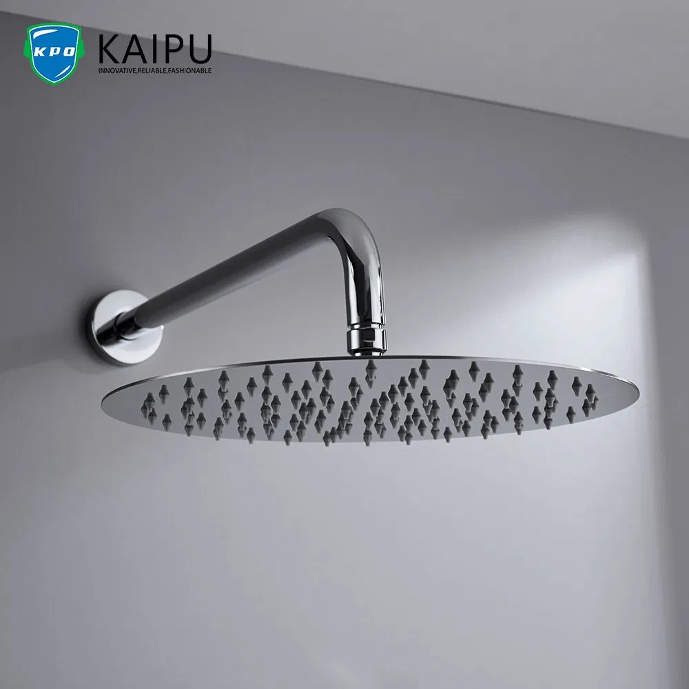 Stainless Steel Hand Shower Head High Preasure
