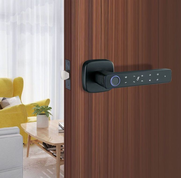Multi-Factor Authentication Integrated CS8 Smart Lock