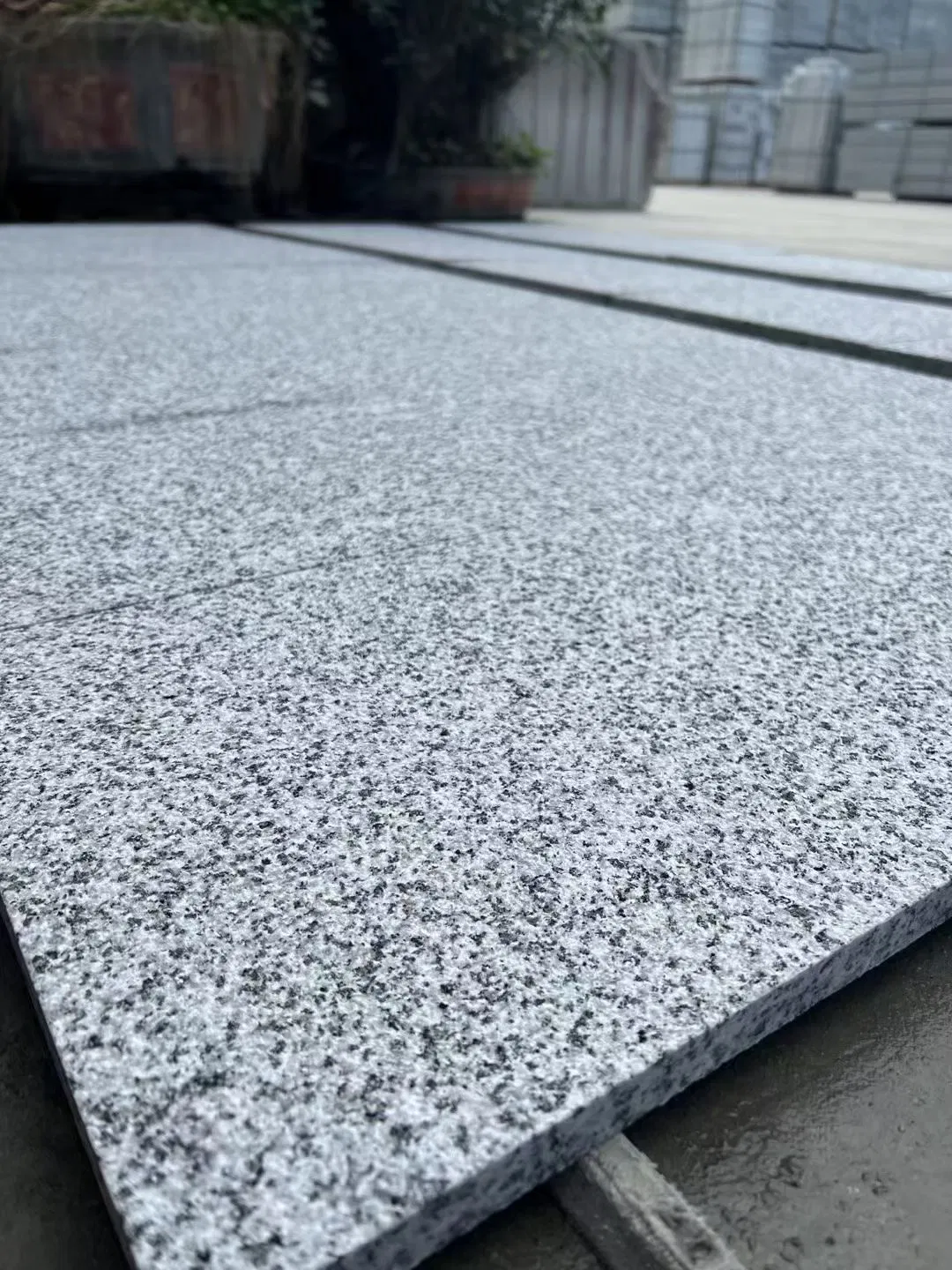 China G655 Granite -Steel Grey Granite for Sophisticated Poolside Patios /Paving/Kerbstone/Steps/Walltiles/Flooringtiles/Countertops