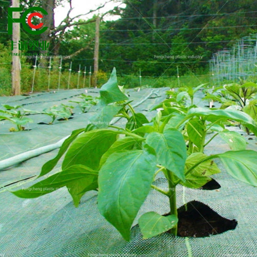 Green Weed Mat Geotextile for Enhanced Ground Cover and Weed Protection