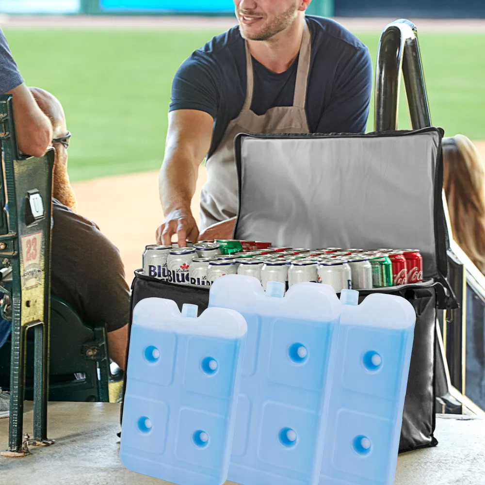 Eagle Restaurant Equipment Solid Cold Reusable Blue Ice Pack Food Boxes Storage