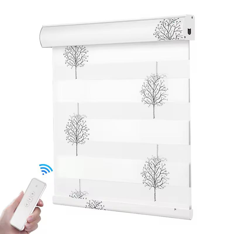 Automatic Smart Zebra Blinds in Blackout Power Blinds with Power Supply Window Shades Roller Blinds