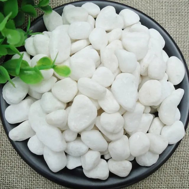 The Best Garden Pebble Stones Snow White Stone for Rolling