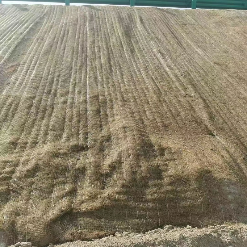 Heavy-Duty Coco Coir Grow Geomat for Environmental Conservation Projects