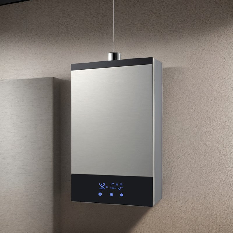 Wholesale Constant Temperature Forced Type 12 Liter Gas Hot Water Heater