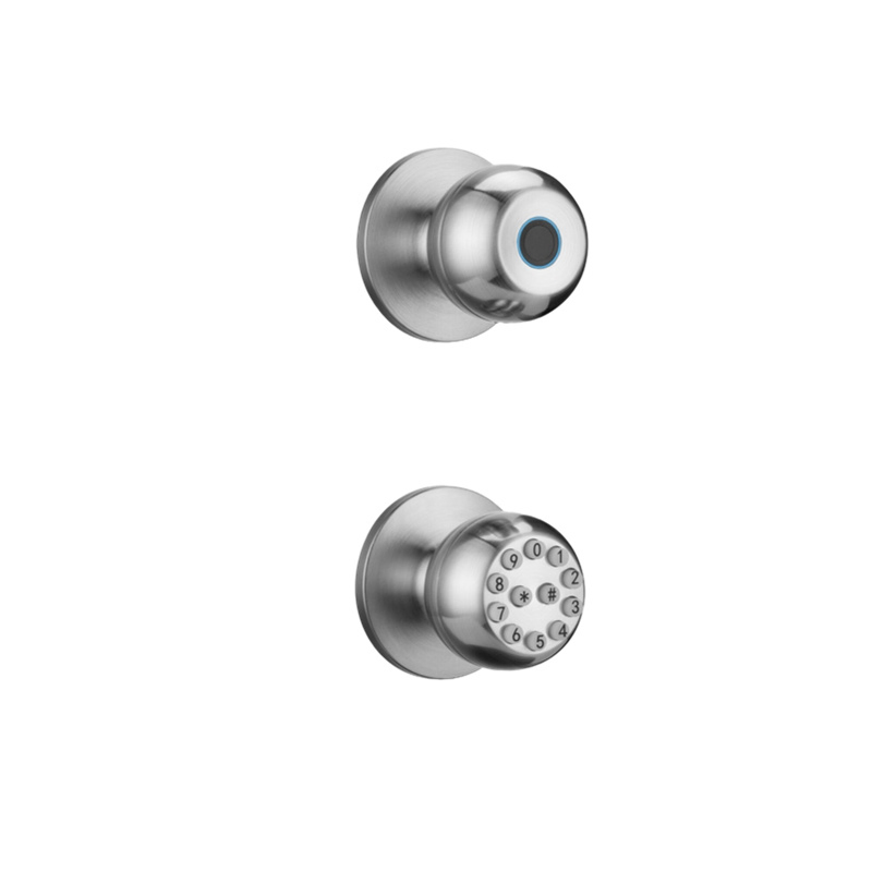 Patented Hidden Biometric CS8 Anti-Spoofing Smart Lock