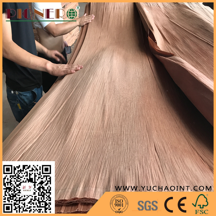 B Grade Natureal PA/Plb Veneer for India Market