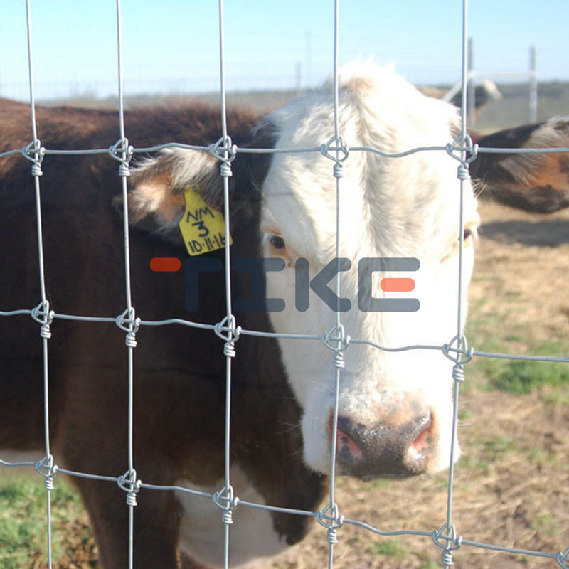 Galvanized Field Fence Sheep Fence