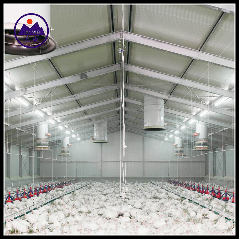 Prefabricated / Prefab Steel Structure Material/Warehouse / Workshop / Construction Building for Chicken House and Egg Layer Poultry Farm (TW1082J)