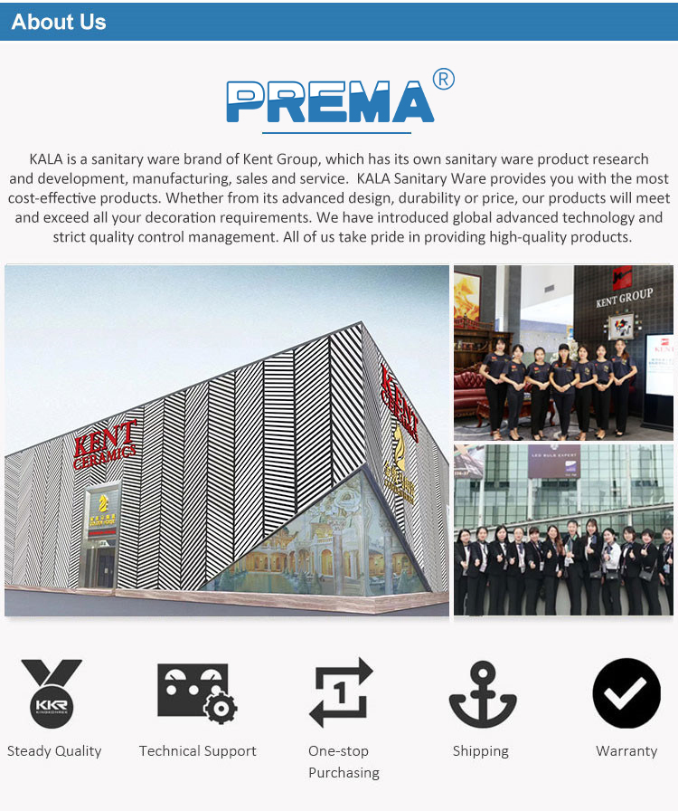 Латунный термостатический смеситель для душа Prema