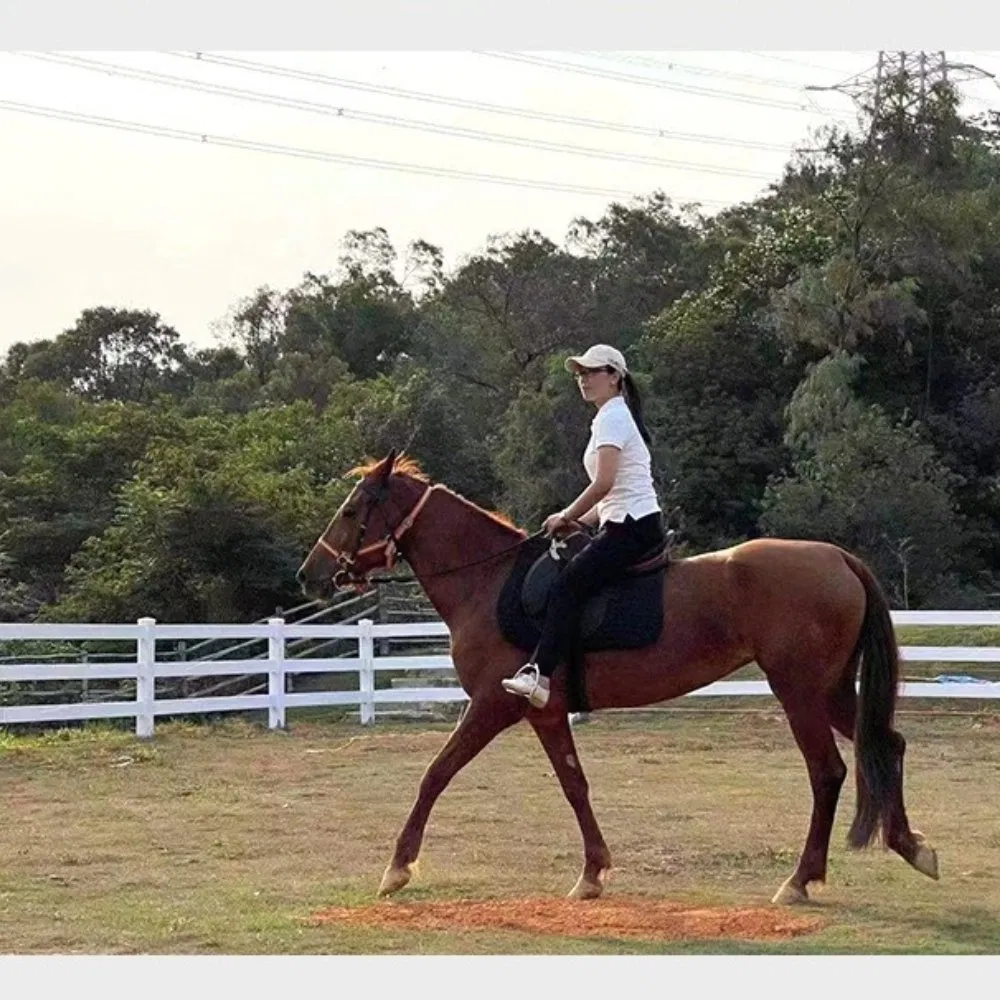 Equestrian Club Horse Farm Camping Fence