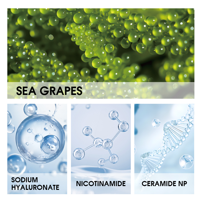 Korean Moisturizer Antioxidant Ceramide Np Sea Grapes Firm Tightener Eye Cream