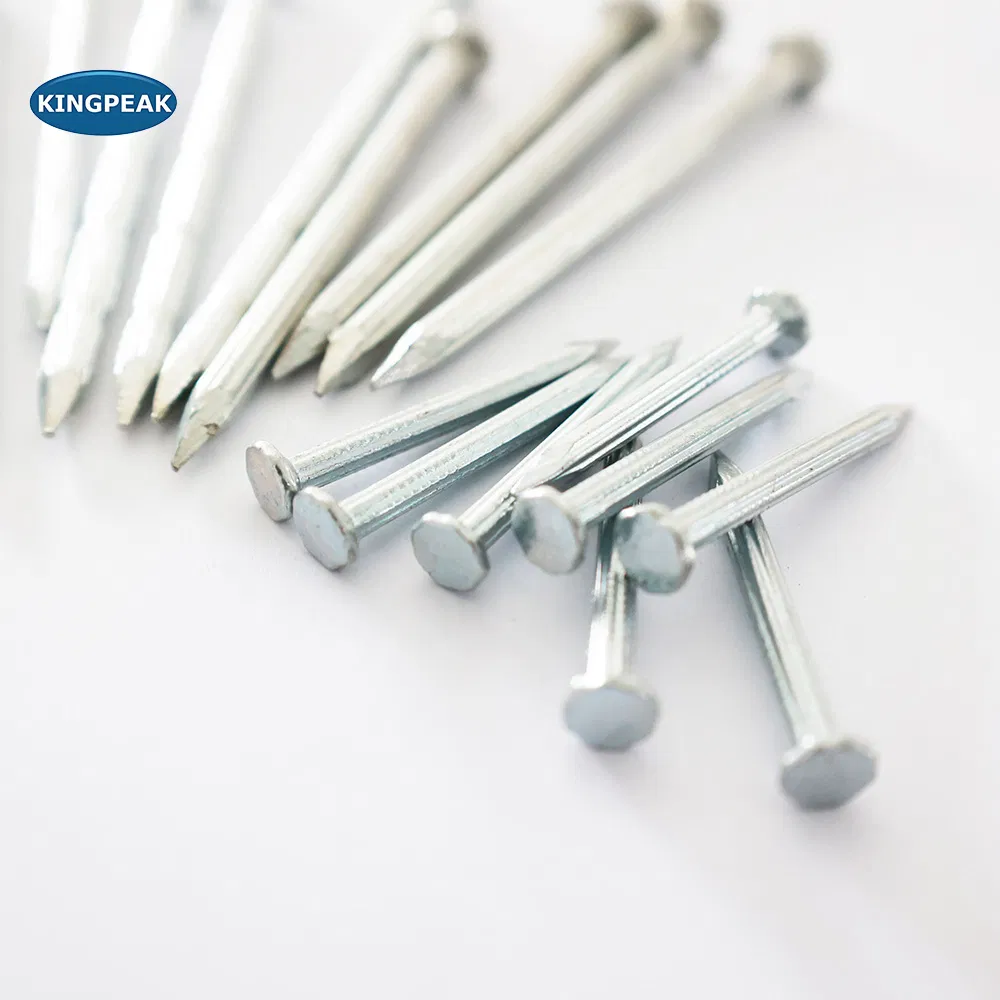 Galvanized Steel Smooth Shank Concrete Nails for Cement Wall