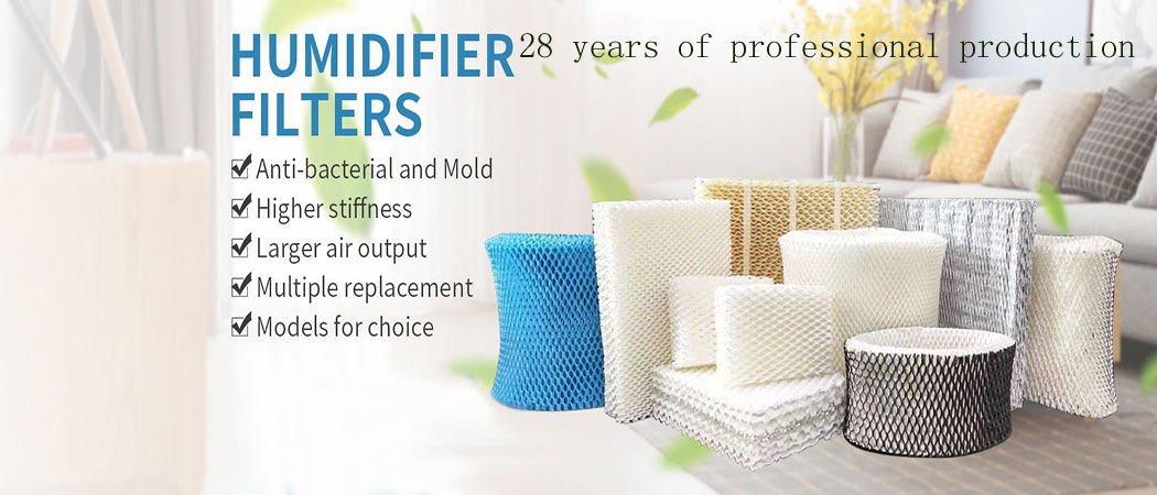 De Li Customized Humidifier Wick Filter for Phillips AC4080 AC4081
