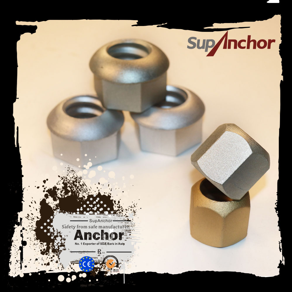 Supanchor High Quality Anchor Nut