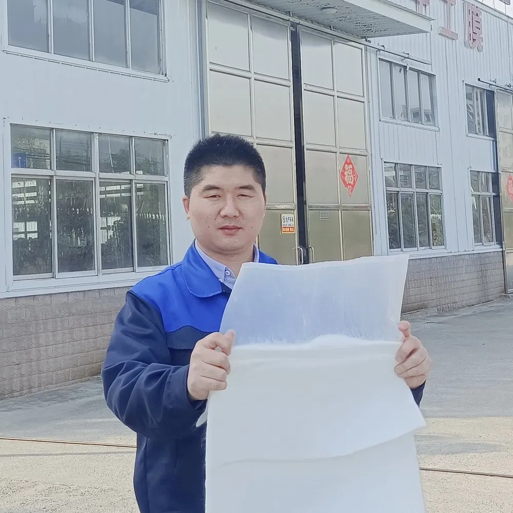 Durability Anti-Static OEM ODM Custom 0.25-0.35mm Thicknesslong Service Life Composite Geotextile Geomembrane