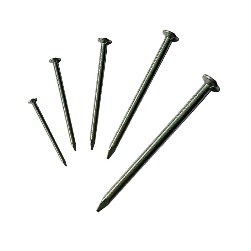 Wholesale of All Sizes Ofiron Nails/Wood Nails/Common Nails/Wire Nails, Factory Direct Sales, Cost-Effective