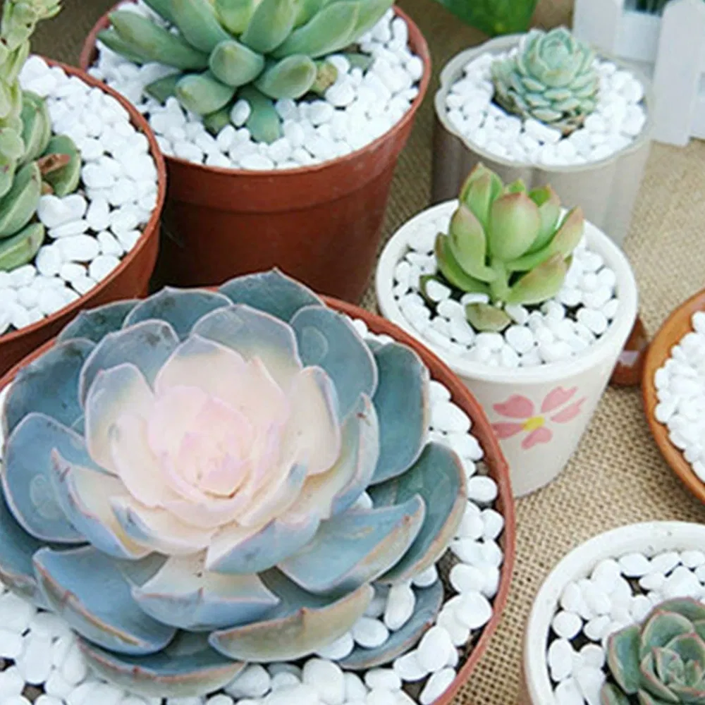 A Grade Landscaping Snow White Pebbles Landscaping Decoration