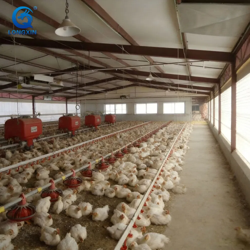Steel Structure Chicken House Egg Laying Hens Chicken Coop Farm Small Chicken Poultry with Low Price