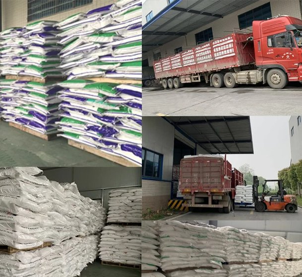 CAS No 527-07-1 98% Industry Grade Powder Sodium Gluconate Concrete Admixture