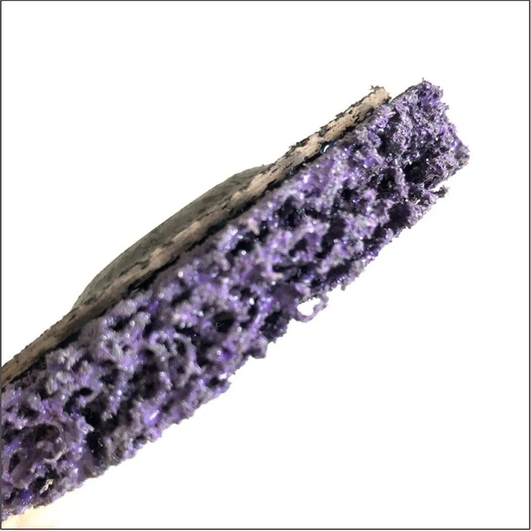 Factory Supply Stripping Disc Disc for Removing Paint and Rust