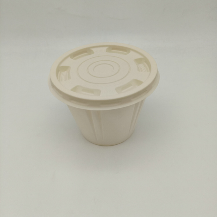 Eco-Friendly Biodegradable Corn Starch Takeaway Bowl with Lid