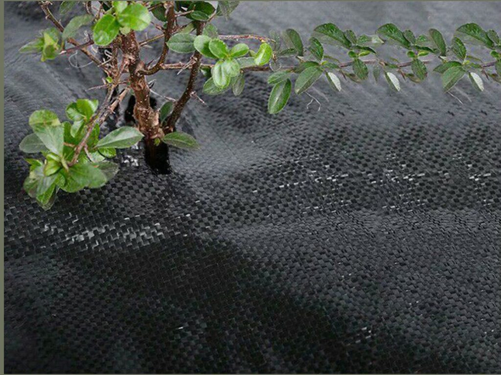Black Weed Control Fabric Anti UV Anti Grass Ground Cover Weed Mat