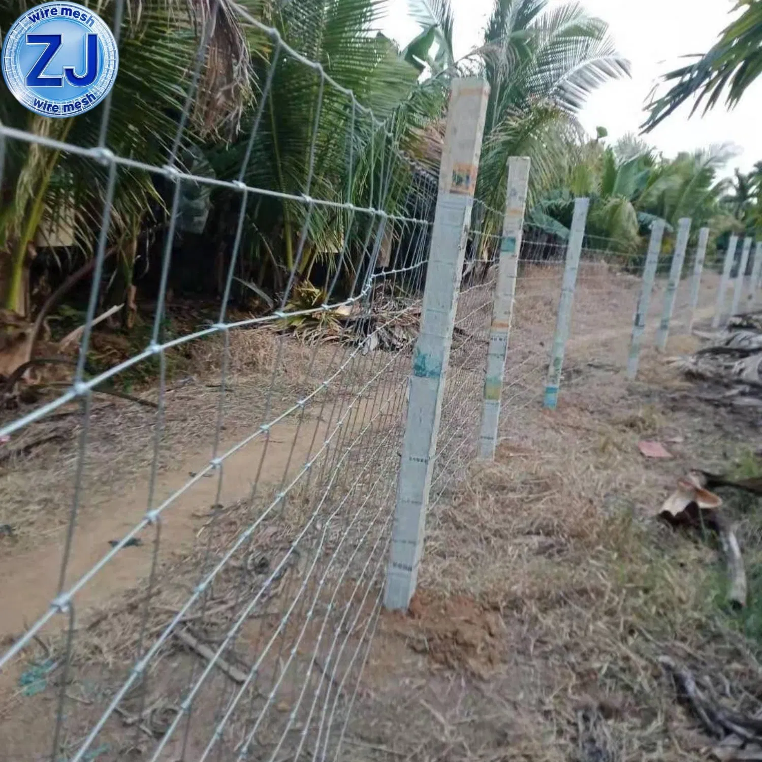 Goat Farming Cattle Fence Panel Field Wire Mesh