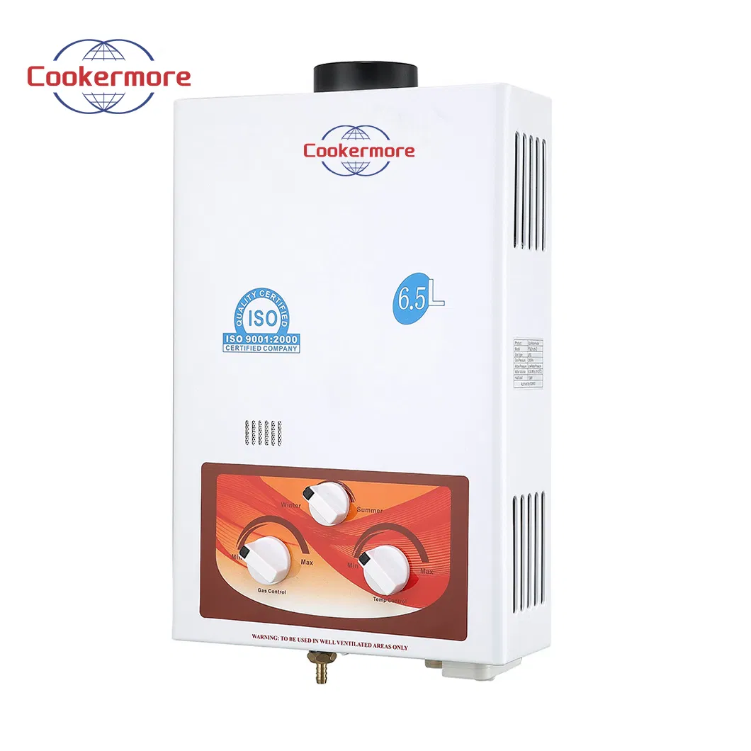 Supplier Customized Home Hermetic Portable Instant Gas Water Heater