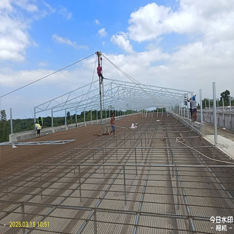 High Strength Steel Structure for Poultry House with Fast Installation and Long Life Broiler Flat Rearing/ Layer Cage/Hens of The Farms Livestock Equipment