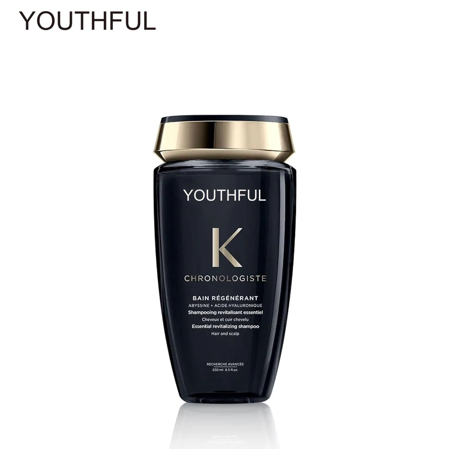 Scalp with Hyaluronic Acid & Vitamin E Dull Dry Brittle & Sensitized Hair Oil