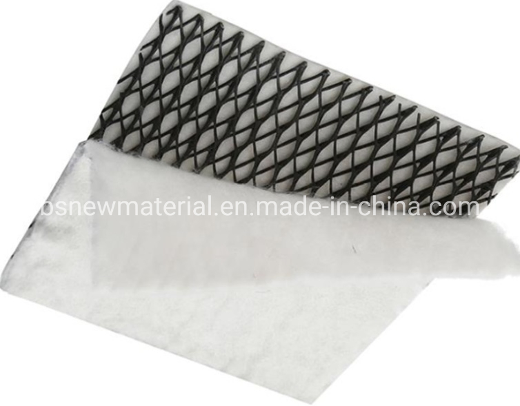 Geocomposite HDPE Plastic Drainage Geonet Tri-Planer, for Landfill/Retaining Wall/Subgrade/Railway/Road Drainage Good Price
