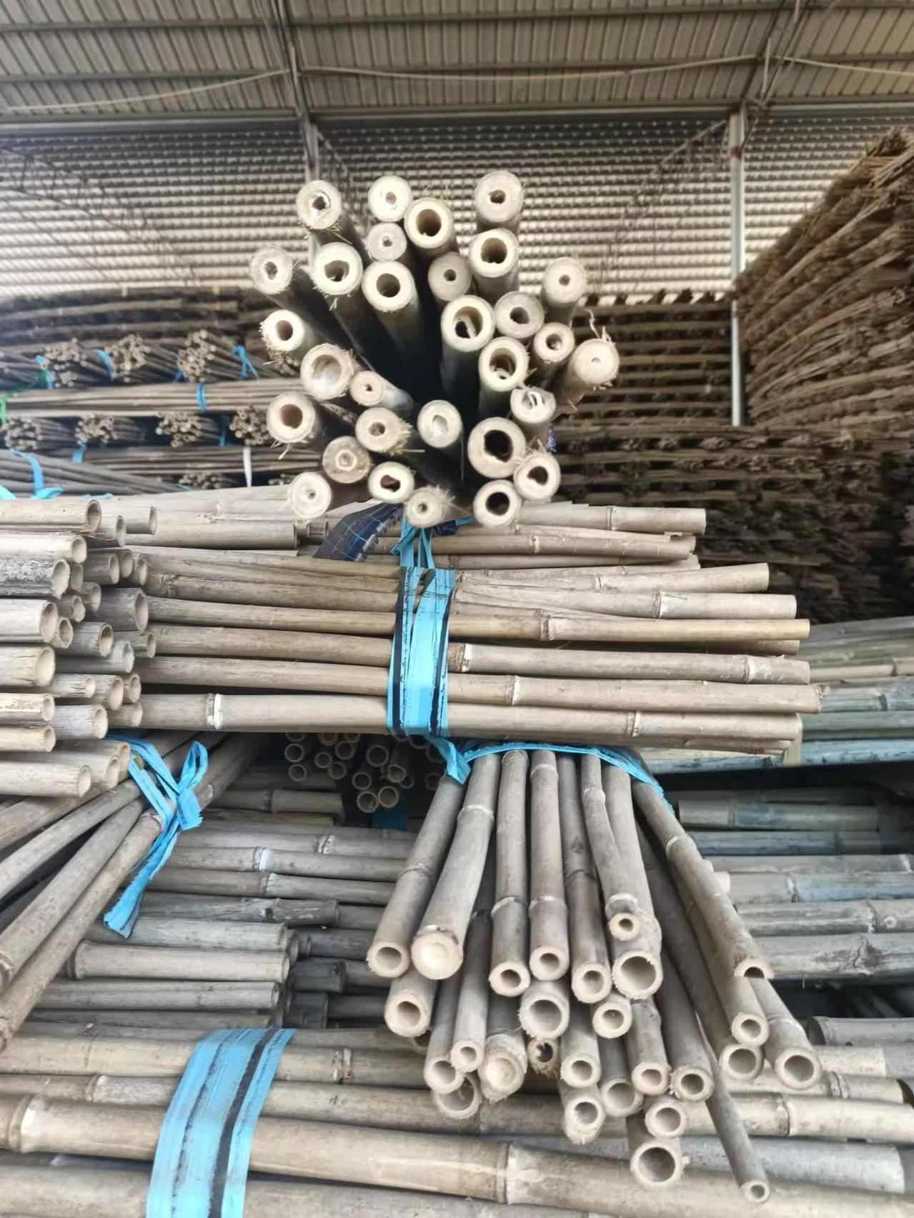 Factory Hot Sale Natural Bamboo Raw Materials Bamboo Pole Stakes for Horticulture Plantation Support